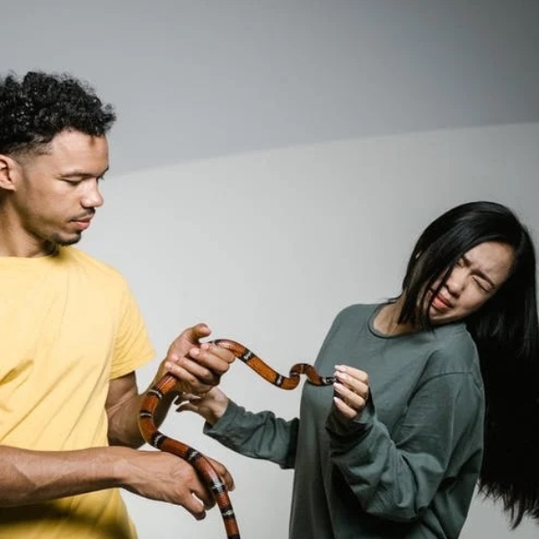 Mơ thấy nhiều rắn đánh đề con gì ?