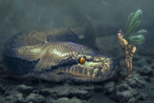 Nằm mơ thấy rắn là điềm gì ?