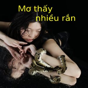 Nằm mơ thấy nhiều rắn