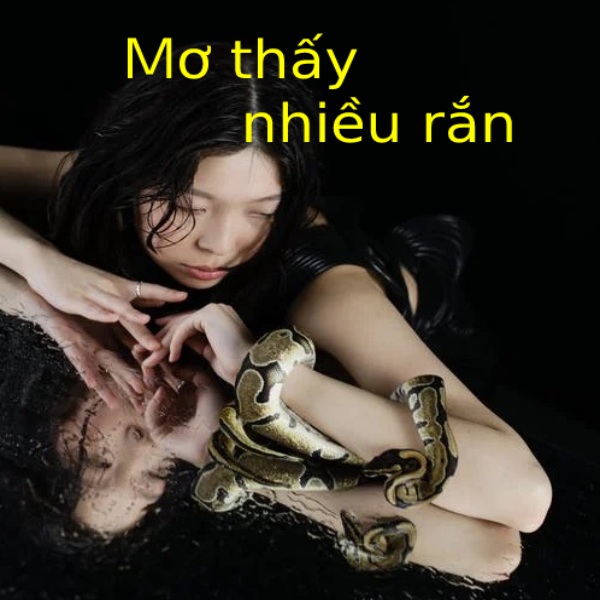 Nằm mơ thấy nhiều rắn