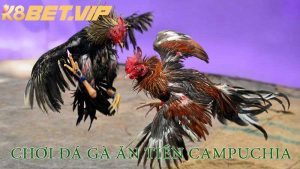 Chơi đá gà ăn tiền Campuchia